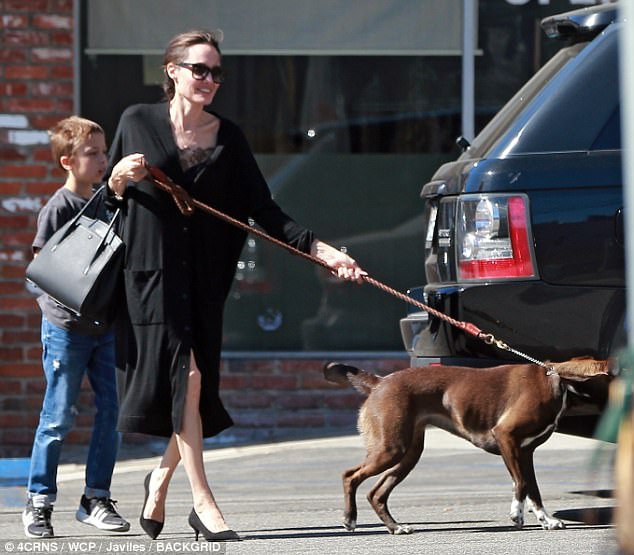 Carefree: Angelina couldn't have looked happier as she enjoyed a carefree moment with the family dog, who followed their nose about the parking lot