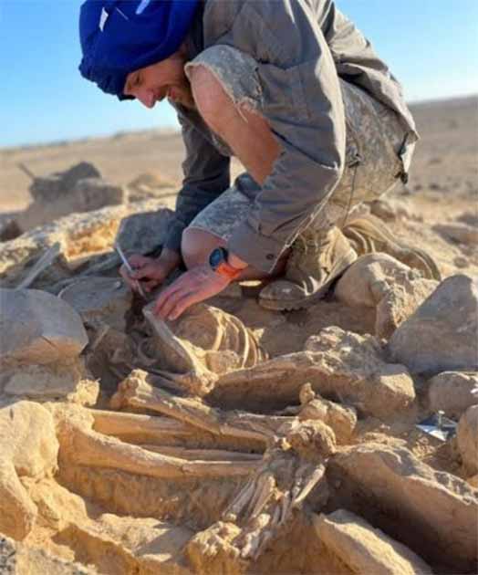 Excavación de tumbas en un sitio en Omán. (Roman Garba y Alžběta Danielisov/ CAS Instituto de Arqueología de Praga)