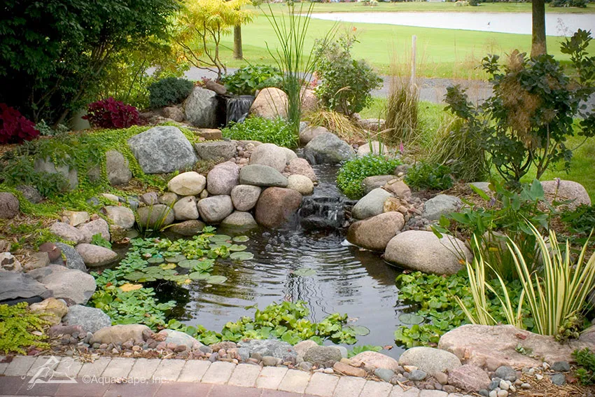 small pond and water garden kit