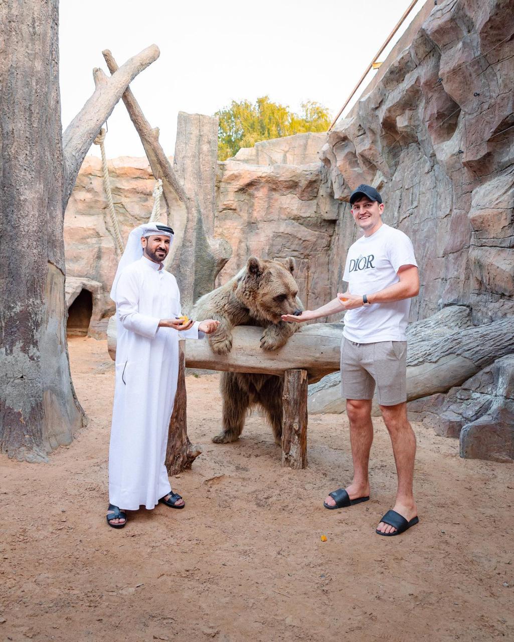 Maguire, 29, feeds a BEAR